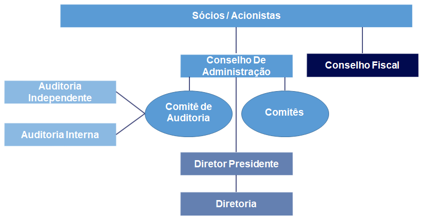 Estrutura Organizacional Da Governança Corporativa 